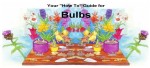 Bulbs