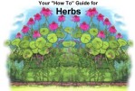 Herbs